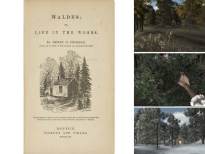 Cover of Walden; screenshots from Walden game