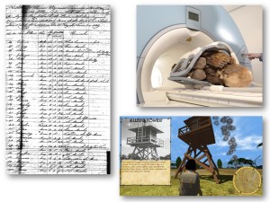 Humanities data--a mummy, a log book, a game